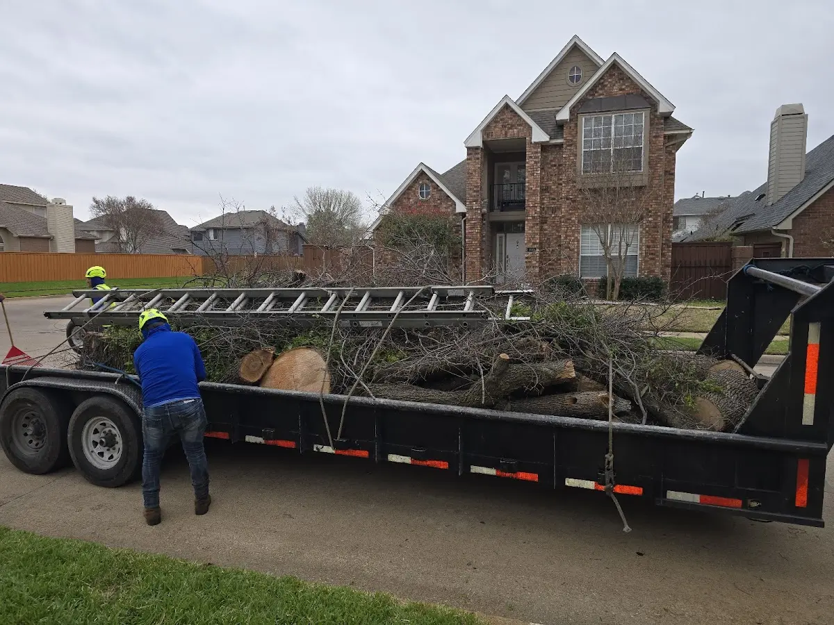 Expert Tree Pest Control with proper safety equipment in Sylvester
